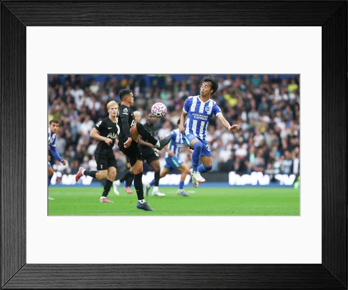 Framed Print : Brighton and Hove Albion v Tottenham Hotspur Premier League 20SEP25 Framed Print : Brighton and Hove Albion v Tottenham Hotspur Premier League 20SEP25