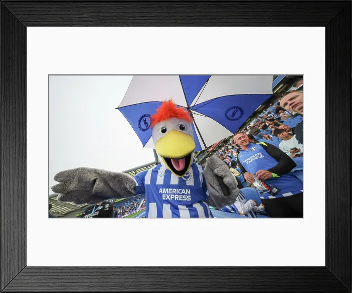 Framed Print : Brighton and Hove Albion v Tottenham Hotspur Premier League 20SEP25 Framed Print : Brighton and Hove Albion v Tottenham Hotspur Premier League 20SEP25