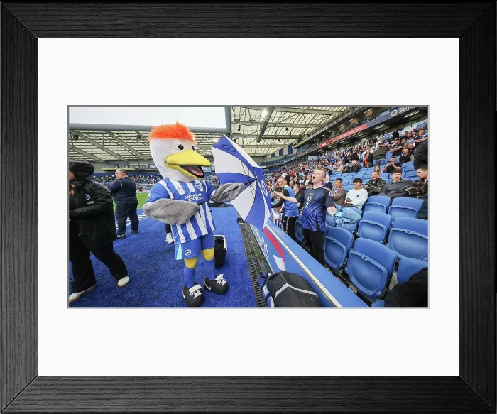 Framed Print : Brighton and Hove Albion v Tottenham Hotspur Premier League 20SEP25 Framed Print : Brighton and Hove Albion v Tottenham Hotspur Premier League 20SEP25
