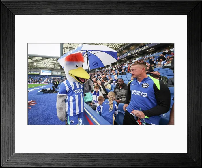 Framed Print : Brighton and Hove Albion v Tottenham Hotspur Premier League 20SEP25 Framed Print : Brighton and Hove Albion v Tottenham Hotspur Premier League 20SEP25