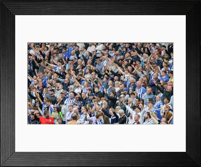 Framed Print : Brighton and Hove Albion v Tottenham Hotspur Premier League 20SEP25 Framed Print : Brighton and Hove Albion v Tottenham Hotspur Premier League 20SEP25