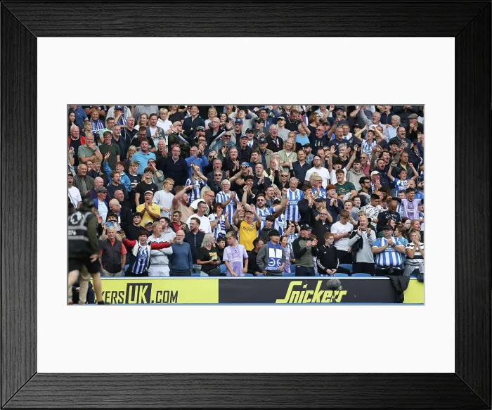 Framed Print : Brighton and Hove Albion v Tottenham Hotspur Premier League 20SEP25