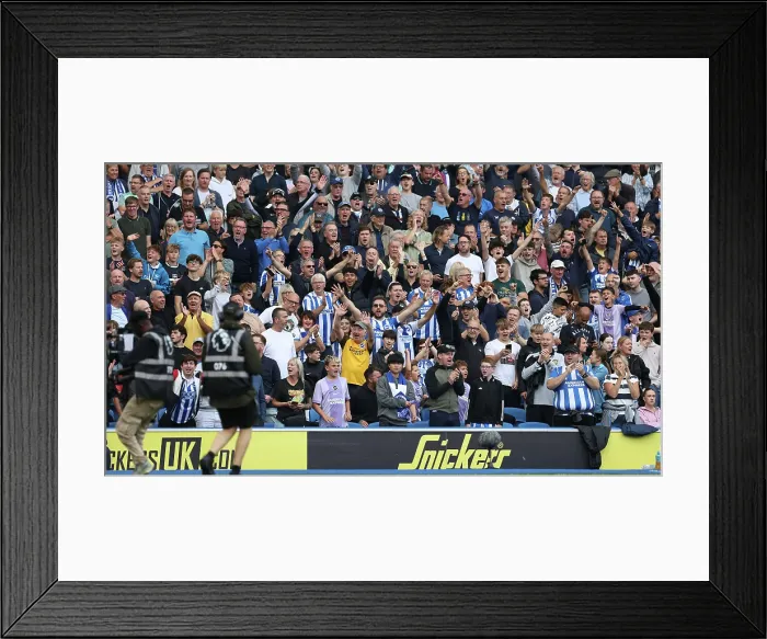 Framed Print : Brighton and Hove Albion v Tottenham Hotspur Premier League 20SEP25 Framed Print : Brighton and Hove Albion v Tottenham Hotspur Premier League 20SEP25