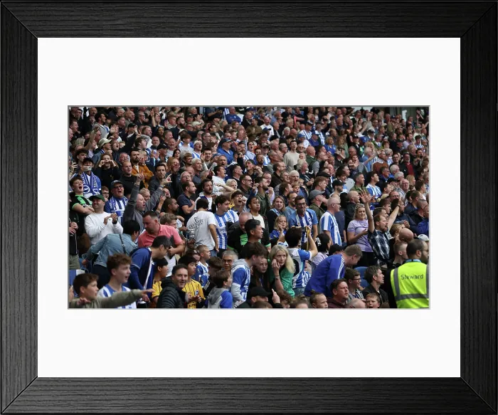 Framed Print : Brighton and Hove Albion v Tottenham Hotspur Premier League 20SEP25 Framed Print : Brighton and Hove Albion v Tottenham Hotspur Premier League 20SEP25