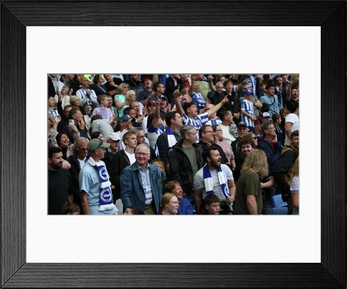 Framed Print : Brighton and Hove Albion v Tottenham Hotspur Premier League 20SEP25 Framed Print : Brighton and Hove Albion v Tottenham Hotspur Premier League 20SEP25