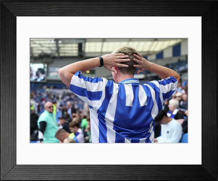 Framed Print : Brighton and Hove Albion v Tottenham Hotspur Premier League 20SEP25 Framed Print : Brighton and Hove Albion v Tottenham Hotspur Premier League 20SEP25