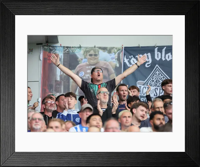 Framed Print : Brighton and Hove Albion v Tottenham Hotspur Premier League 20SEP25 Framed Print : Brighton and Hove Albion v Tottenham Hotspur Premier League 20SEP25
