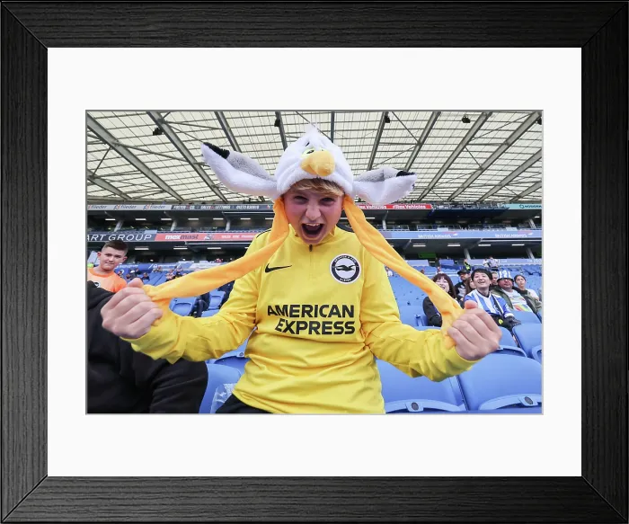 Framed Print : Brighton and Hove Albion v Tottenham Hotspur Premier League 20SEP25