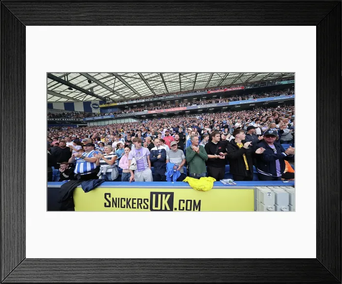 Framed Print : Brighton and Hove Albion v Tottenham Hotspur Premier League 20SEP25 Framed Print : Brighton and Hove Albion v Tottenham Hotspur Premier League 20SEP25