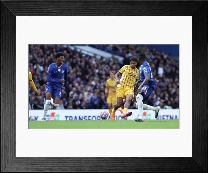 Framed Print : Chelsea v Brighton and Hove Albion Premier League 27SEP25 Framed Print : Chelsea v Brighton and Hove Albion Premier League 27SEP25