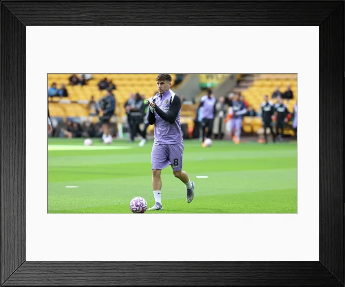 Framed Print : Wolverhampton Wanderers v Brighton and Hove Albion Premier League 05OCT25