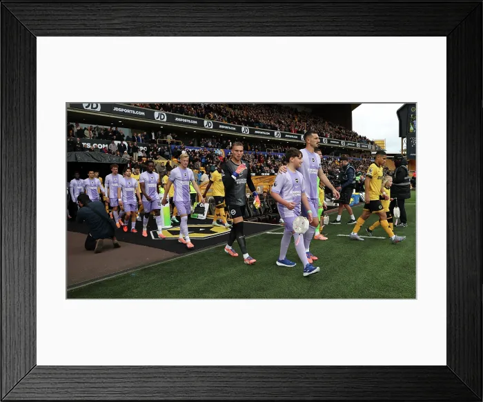 Framed Print : Wolverhampton Wanderers v Brighton and Hove Albion Premier League 05OCT25 Framed Print : Wolverhampton Wanderers v Brighton and Hove Albion Premier League 05OCT25