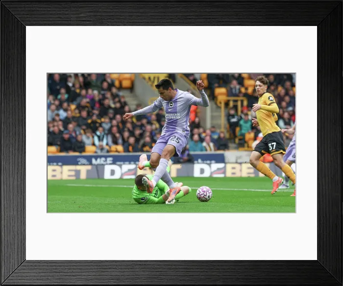 Framed Print : Wolverhampton Wanderers v Brighton and Hove Albion Premier League 05OCT25 Framed Print : Wolverhampton Wanderers v Brighton and Hove Albion Premier League 05OCT25