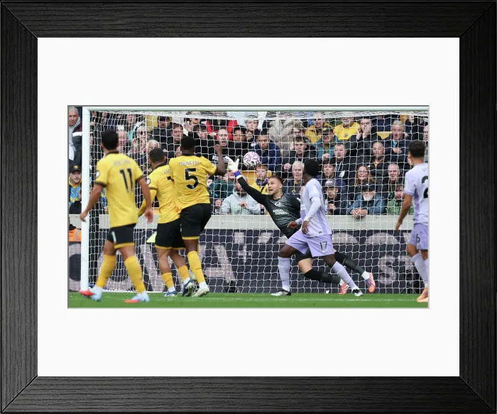 Framed Print : Wolverhampton Wanderers v Brighton and Hove Albion Premier League 05OCT25