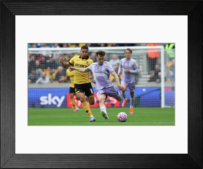 Framed Print : Wolverhampton Wanderers v Brighton and Hove Albion Premier League 05OCT25