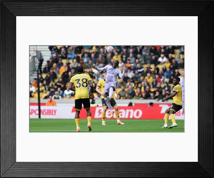 Framed Print : Wolverhampton Wanderers v Brighton and Hove Albion Premier League 05OCT25 Framed Print : Wolverhampton Wanderers v Brighton and Hove Albion Premier League 05OCT25