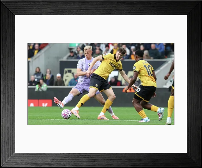 Framed Print : Wolverhampton Wanderers v Brighton and Hove Albion Premier League 05OCT25 Framed Print : Wolverhampton Wanderers v Brighton and Hove Albion Premier League 05OCT25