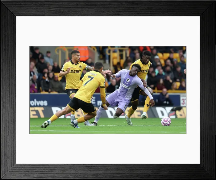 Framed Print : Wolverhampton Wanderers v Brighton and Hove Albion Premier League 05OCT25 Framed Print : Wolverhampton Wanderers v Brighton and Hove Albion Premier League 05OCT25