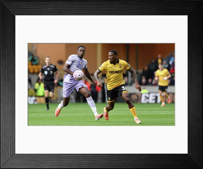 Framed Print : Wolverhampton Wanderers v Brighton and Hove Albion Premier League 05OCT25 Framed Print : Wolverhampton Wanderers v Brighton and Hove Albion Premier League 05OCT25