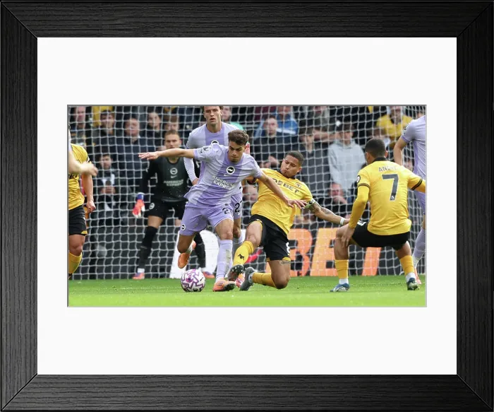 Framed Print : Wolverhampton Wanderers v Brighton and Hove Albion Premier League 05OCT25 Framed Print : Wolverhampton Wanderers v Brighton and Hove Albion Premier League 05OCT25