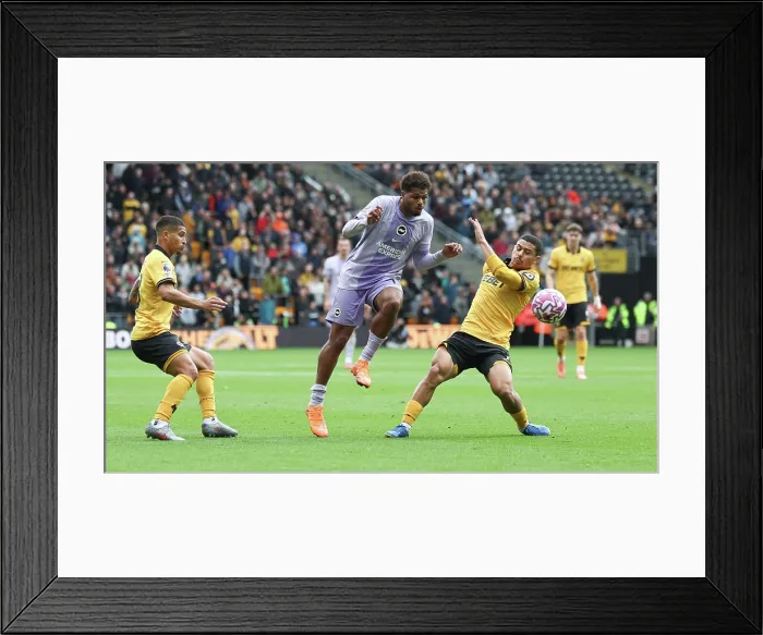Framed Print : Wolverhampton Wanderers v Brighton and Hove Albion Premier League 05OCT25 Framed Print : Wolverhampton Wanderers v Brighton and Hove Albion Premier League 05OCT25
