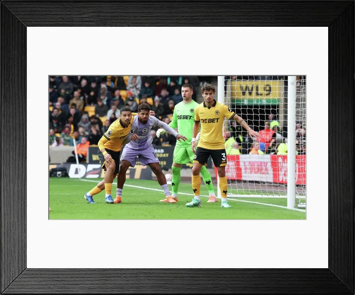 Framed Print : Wolverhampton Wanderers v Brighton and Hove Albion Premier League 05OCT25 Framed Print : Wolverhampton Wanderers v Brighton and Hove Albion Premier League 05OCT25