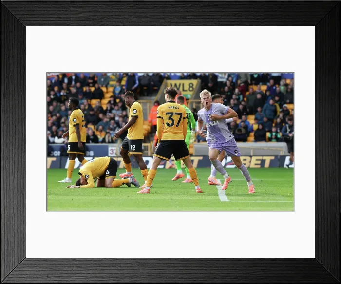 Framed Print : Wolverhampton Wanderers v Brighton and Hove Albion Premier League 05OCT25 Framed Print : Wolverhampton Wanderers v Brighton and Hove Albion Premier League 05OCT25