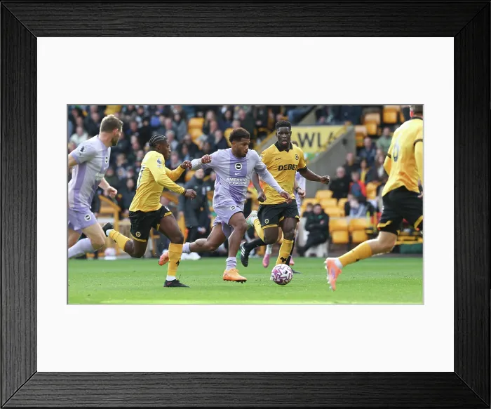 Framed Print : Wolverhampton Wanderers v Brighton and Hove Albion Premier League 05OCT25 Framed Print : Wolverhampton Wanderers v Brighton and Hove Albion Premier League 05OCT25