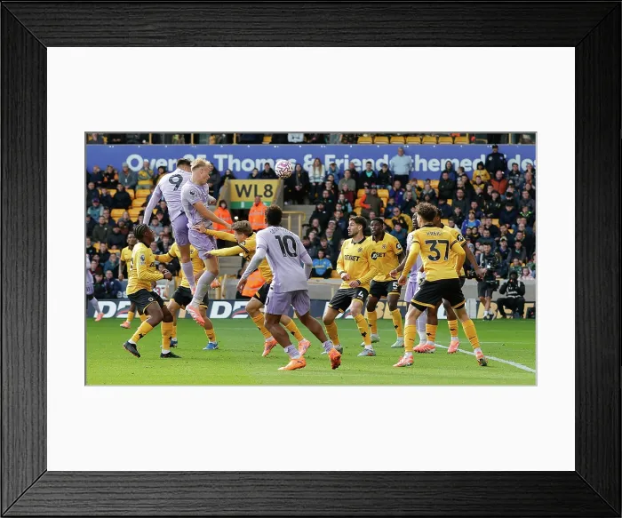 Framed Print : Wolverhampton Wanderers v Brighton and Hove Albion Premier League 05OCT25 Framed Print : Wolverhampton Wanderers v Brighton and Hove Albion Premier League 05OCT25