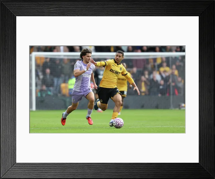 Framed Print : Wolverhampton Wanderers v Brighton and Hove Albion Premier League 05OCT25 Framed Print : Wolverhampton Wanderers v Brighton and Hove Albion Premier League 05OCT25