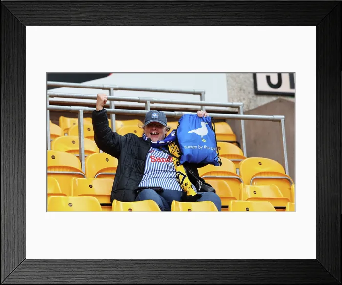Framed Print : Wolverhampton Wanderers v Brighton and Hove Albion Premier League 05OCT25 Framed Print : Wolverhampton Wanderers v Brighton and Hove Albion Premier League 05OCT25