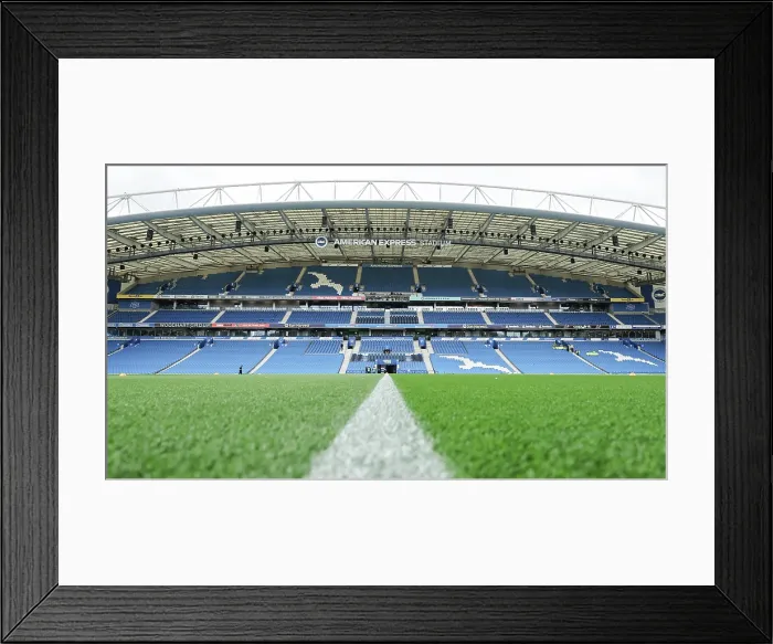 Framed Print : Brighton and Hove Albion v Newcastle United Premier League 18OCT25