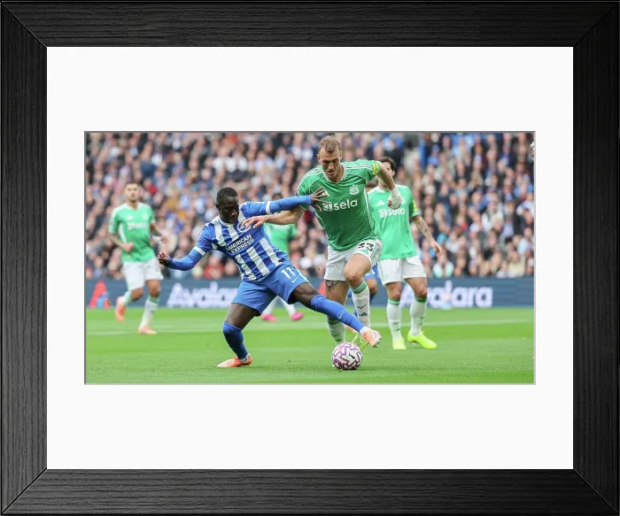 Framed Print : Brighton and Hove Albion v Newcastle United Premier League 18OCT25 Framed Print : Brighton and Hove Albion v Newcastle United Premier League 18OCT25