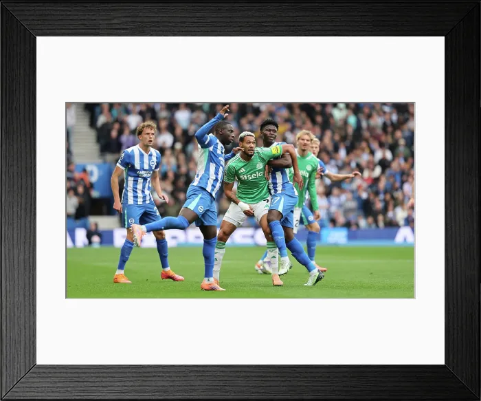 Framed Print : Brighton and Hove Albion v Newcastle United Premier League 18OCT25 Framed Print : Brighton and Hove Albion v Newcastle United Premier League 18OCT25