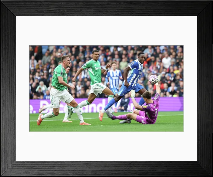 Framed Print : Brighton and Hove Albion v Newcastle United Premier League 18OCT25 Framed Print : Brighton and Hove Albion v Newcastle United Premier League 18OCT25