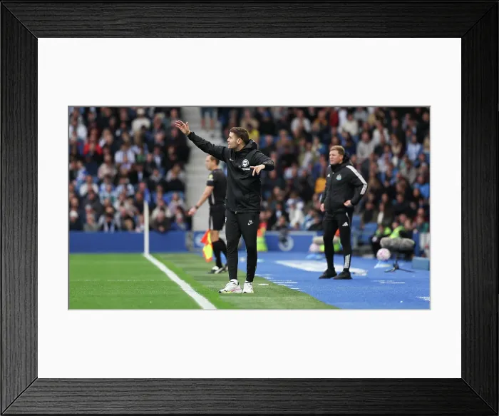 Framed Print : Brighton and Hove Albion v Newcastle United Premier League 18OCT25 Framed Print : Brighton and Hove Albion v Newcastle United Premier League 18OCT25