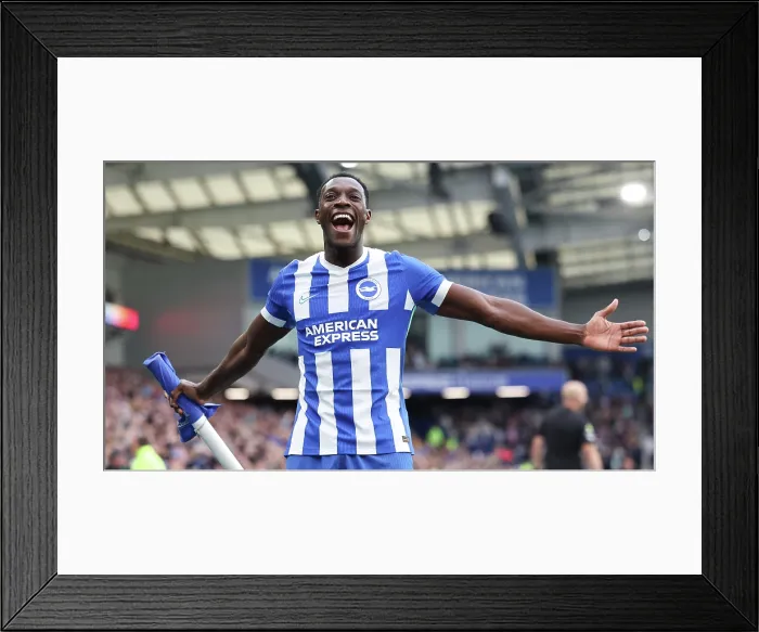 Framed Print : Brighton and Hove Albion v Newcastle United Premier League 18OCT25 Framed Print : Brighton and Hove Albion v Newcastle United Premier League 18OCT25