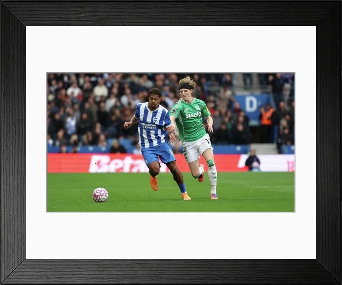 Framed Print : Brighton and Hove Albion v Newcastle United Premier League 18OCT25 Framed Print : Brighton and Hove Albion v Newcastle United Premier League 18OCT25