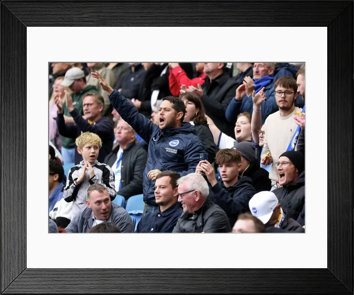 Framed Print : Brighton and Hove Albion v Newcastle United Premier League 18OCT25