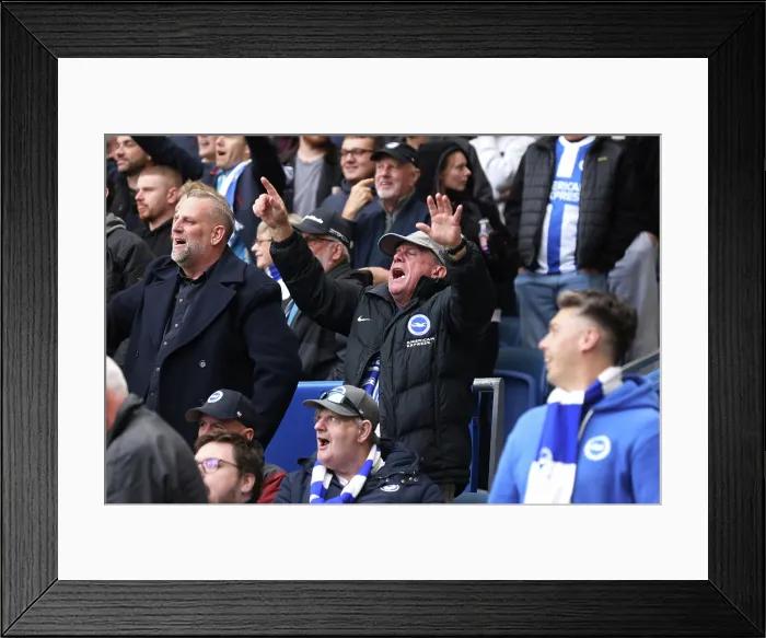 Framed Print : Brighton and Hove Albion v Newcastle United Premier League 18OCT25 Framed Print : Brighton and Hove Albion v Newcastle United Premier League 18OCT25