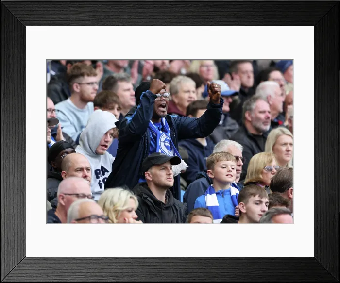 Framed Print : Brighton and Hove Albion v Newcastle United Premier League 18OCT25 Framed Print : Brighton and Hove Albion v Newcastle United Premier League 18OCT25