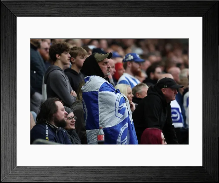 Framed Print : Brighton and Hove Albion v Newcastle United Premier League 18OCT25 Framed Print : Brighton and Hove Albion v Newcastle United Premier League 18OCT25