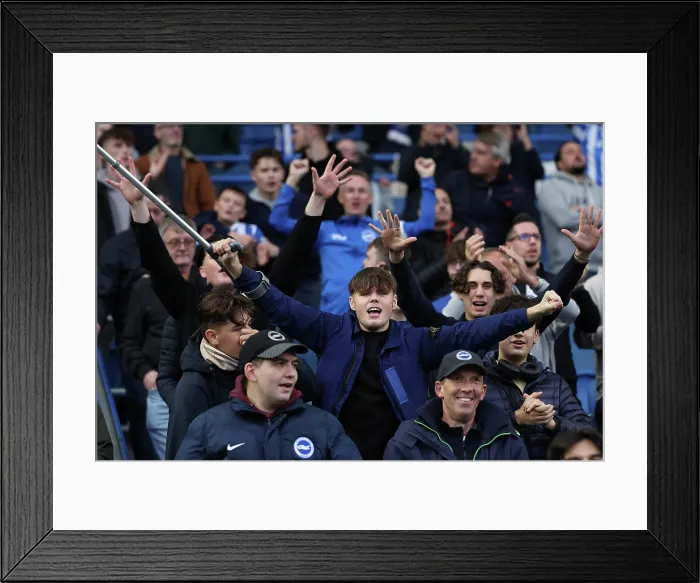 Framed Print : Brighton and Hove Albion v Newcastle United Premier League 18OCT25 Framed Print : Brighton and Hove Albion v Newcastle United Premier League 18OCT25