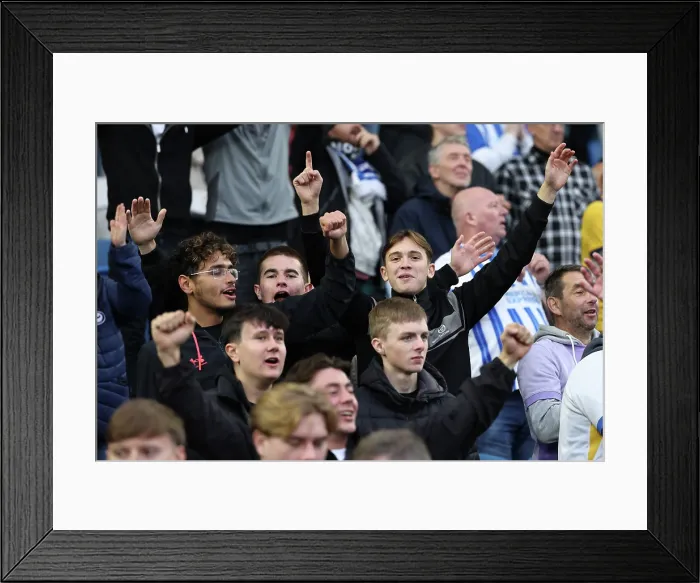Framed Print : Brighton and Hove Albion v Newcastle United Premier League 18OCT25 Framed Print : Brighton and Hove Albion v Newcastle United Premier League 18OCT25