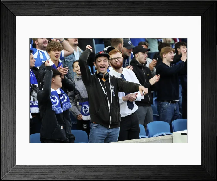 Framed Print : Brighton and Hove Albion v Newcastle United Premier League 18OCT25 Framed Print : Brighton and Hove Albion v Newcastle United Premier League 18OCT25