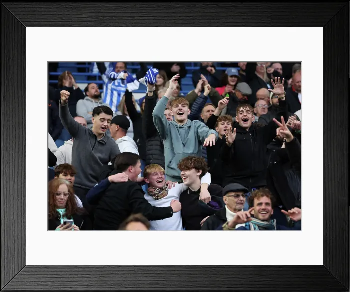 Framed Print : Brighton and Hove Albion v Newcastle United Premier League 18OCT25 Framed Print : Brighton and Hove Albion v Newcastle United Premier League 18OCT25