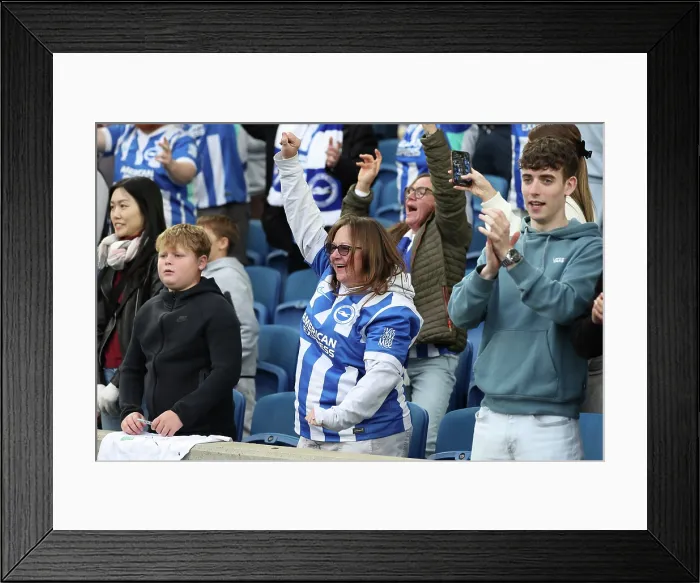 Framed Print : Brighton and Hove Albion v Newcastle United Premier League 18OCT25 Framed Print : Brighton and Hove Albion v Newcastle United Premier League 18OCT25