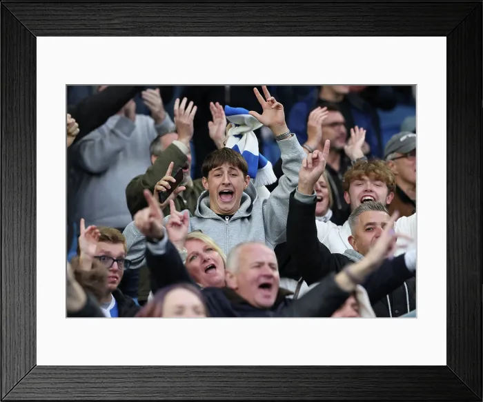 Framed Print : Brighton and Hove Albion v Newcastle United Premier League 18OCT25 Framed Print : Brighton and Hove Albion v Newcastle United Premier League 18OCT25