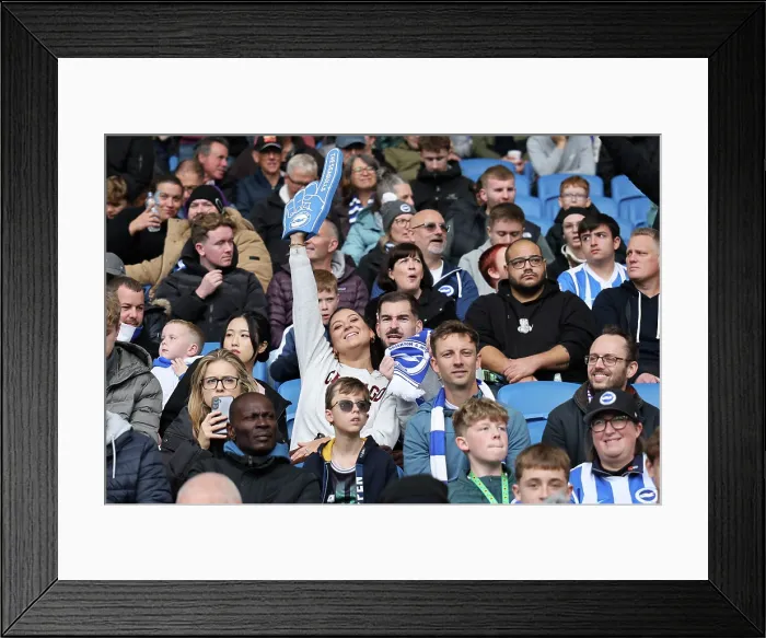 Framed Print : Brighton and Hove Albion v Newcastle United Premier League 18OCT25 Framed Print : Brighton and Hove Albion v Newcastle United Premier League 18OCT25