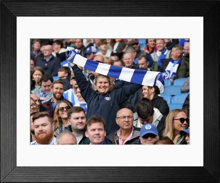Framed Print : Brighton and Hove Albion v Newcastle United Premier League 18OCT25 Framed Print : Brighton and Hove Albion v Newcastle United Premier League 18OCT25